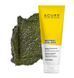Скраб для лица осветляющий Acure Brightening Facial Scrub 118 мл Facial Scrub 118 фото 1