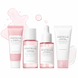 Дорожный набор для комплексного ухода 4 в 1 SKIN1004 Madagascar Centella Poremizing Travel Kit Centella Poremizing 4 в 1 фото 2